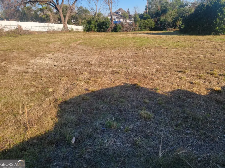 125 N Jones Street, Midville, GA 30441 - Image #2