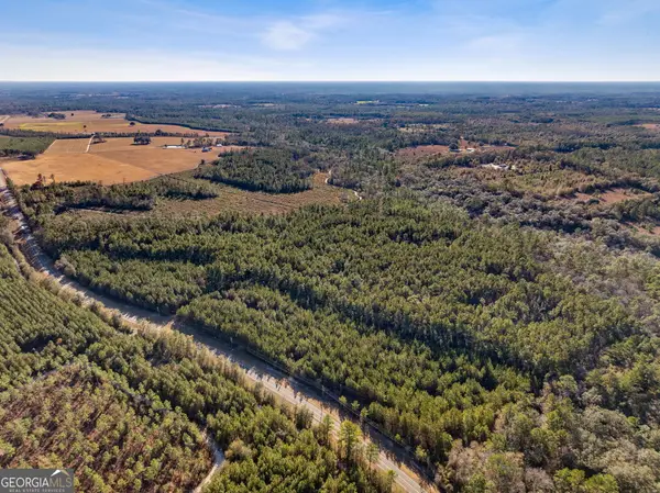 0 State Road 185, St. George, GA 31562