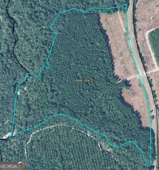 0 State Road 185, Saint George, GA 31562 - #2