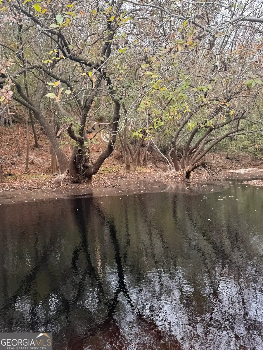 0 State Road 185, Saint George, GA 31562 - #3