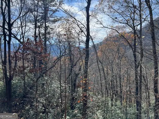 LOT 19 The Highlands At Hightower Ridge, Hiawassee, GA 30546 - #1
