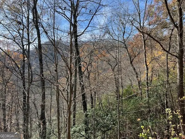 LOT 19 The Highlands At Hightower Ridge, Hiawassee, GA 30546 - #2