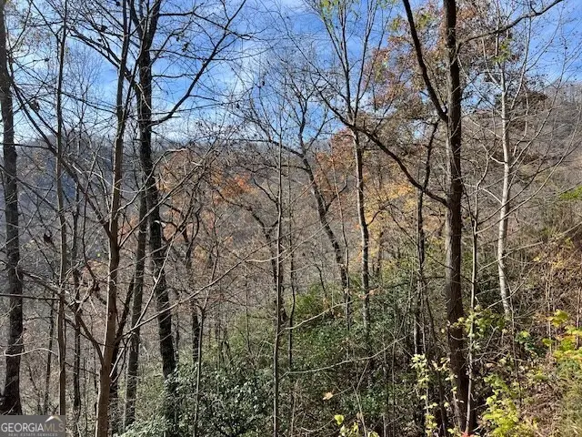 LOT 19 The Highlands At Hightower Ridge, Hiawassee, GA 30546 - #3