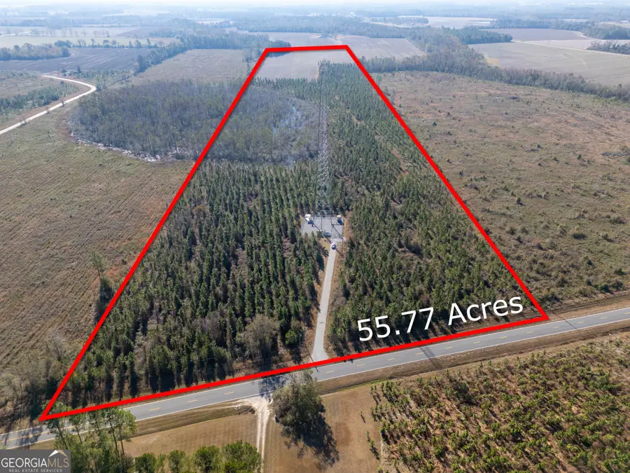 0 Piney Grove Church Road, Baxley, GA 31513 - Image #2