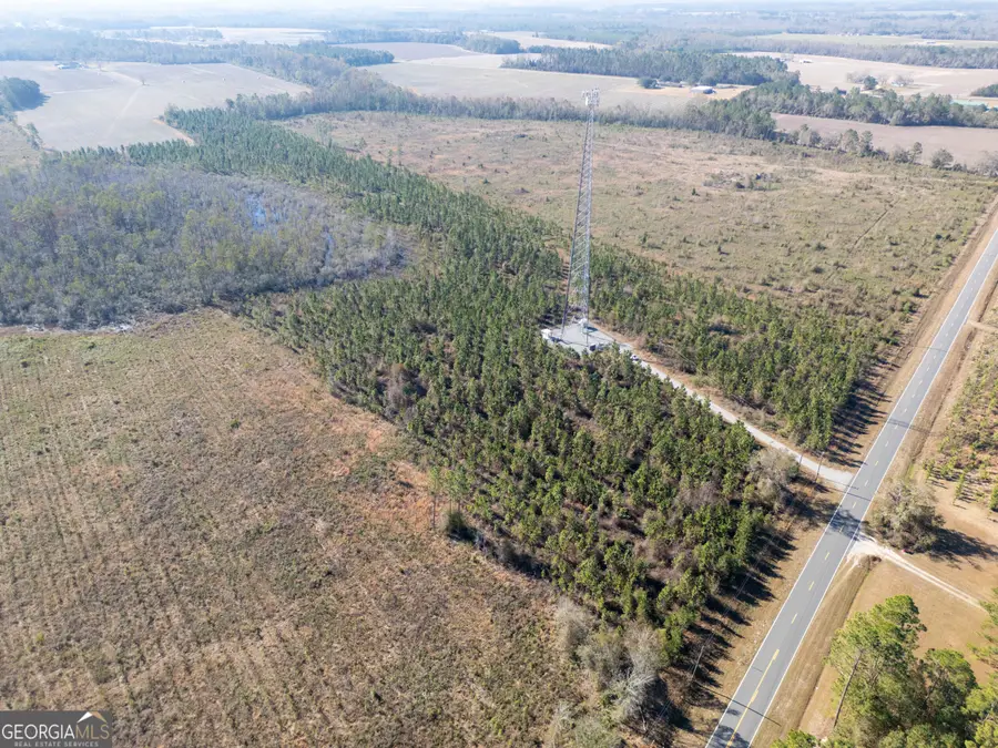 0 Piney Grove Church Road, Baxley, GA 31513 - Image #3