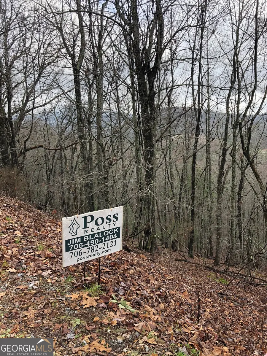 0 Brown Mountain Road, Flats, NC 28775 - Image #2