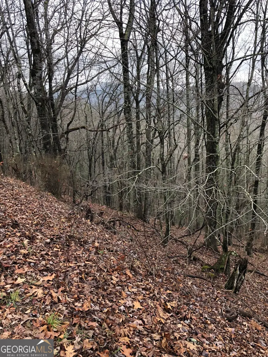 0 Brown Mountain Road, Flats, NC 28775 - Image #3