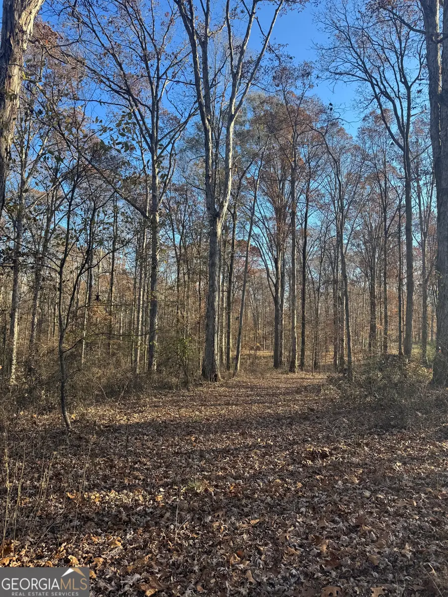 2671 Oakley Trail, Statham, GA 30666 - Image #3