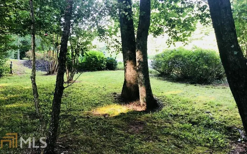 0 Hi River Country #98,99, Hiawassee, GA 30546 - Image #2