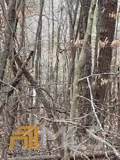 0 Bluff Road, Elberton, GA 30635 - Image #3