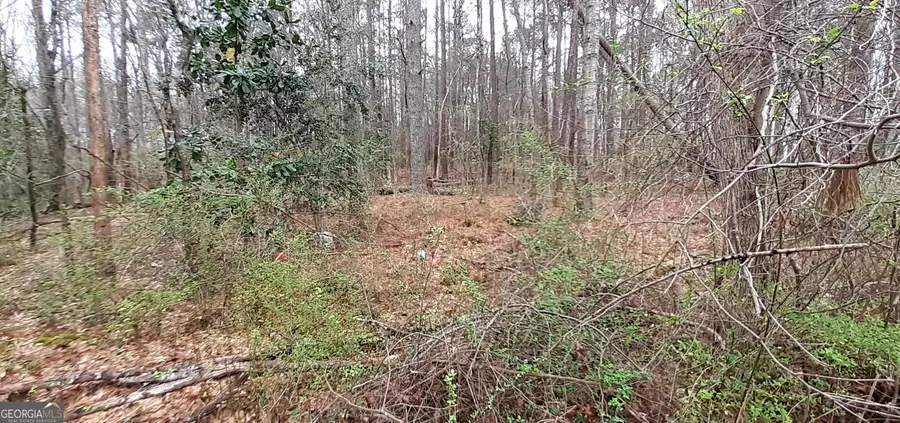 100 Lovelace Street, Newnan, GA 30263 - #3