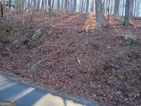 LT M214 Walnut Ridge #M214, Ellijay, GA 30536