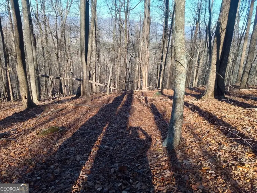 LT M214 Walnut Ridge #M214, Ellijay, GA 30536 - Image #2