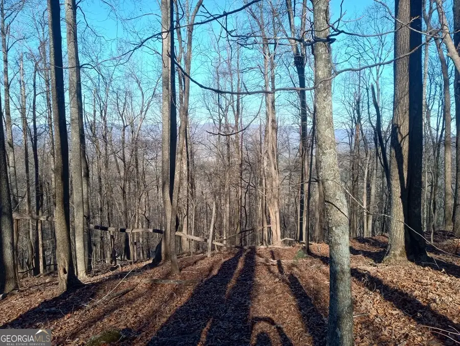 LT M214 Walnut Ridge #M214, Ellijay, GA 30536 - Image #3