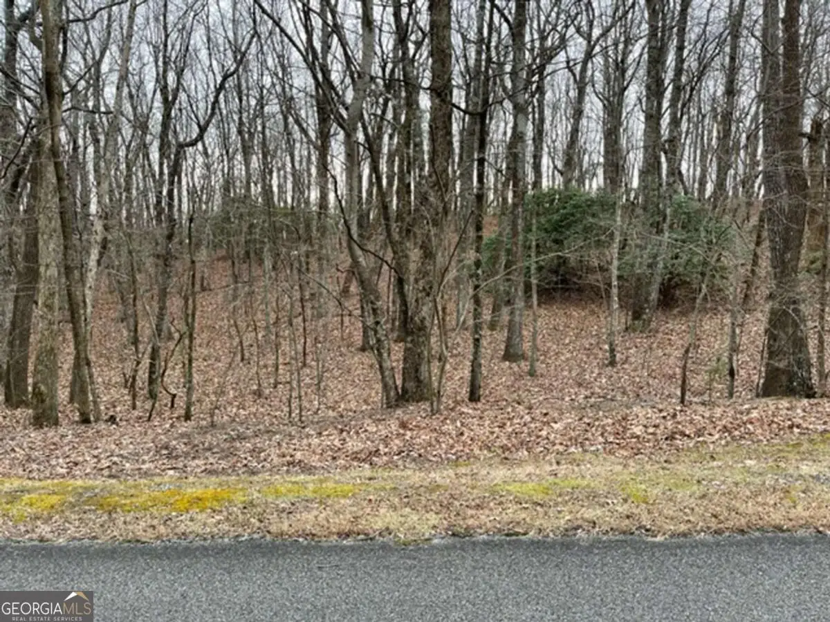 184 St Andrews Way, Ellijay, GA 30536 - #1