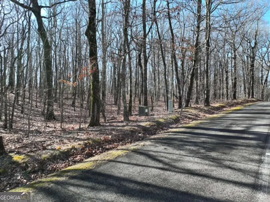 184 St Andrews Way, Ellijay, GA 30536 - #3