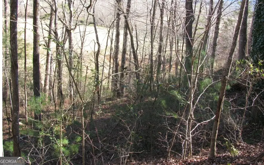 #39 Pinecrest Road, Young Harris, GA 30582 - Image #2