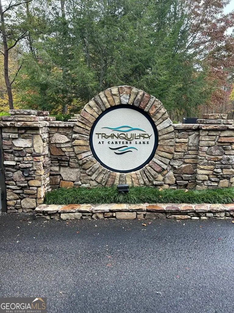 193 & 194 Harris Ridge Lane, Ellijay, GA 30540 - #1