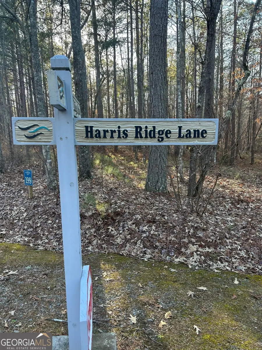 193 & 194 Harris Ridge Lane, Ellijay, GA 30540 - #2