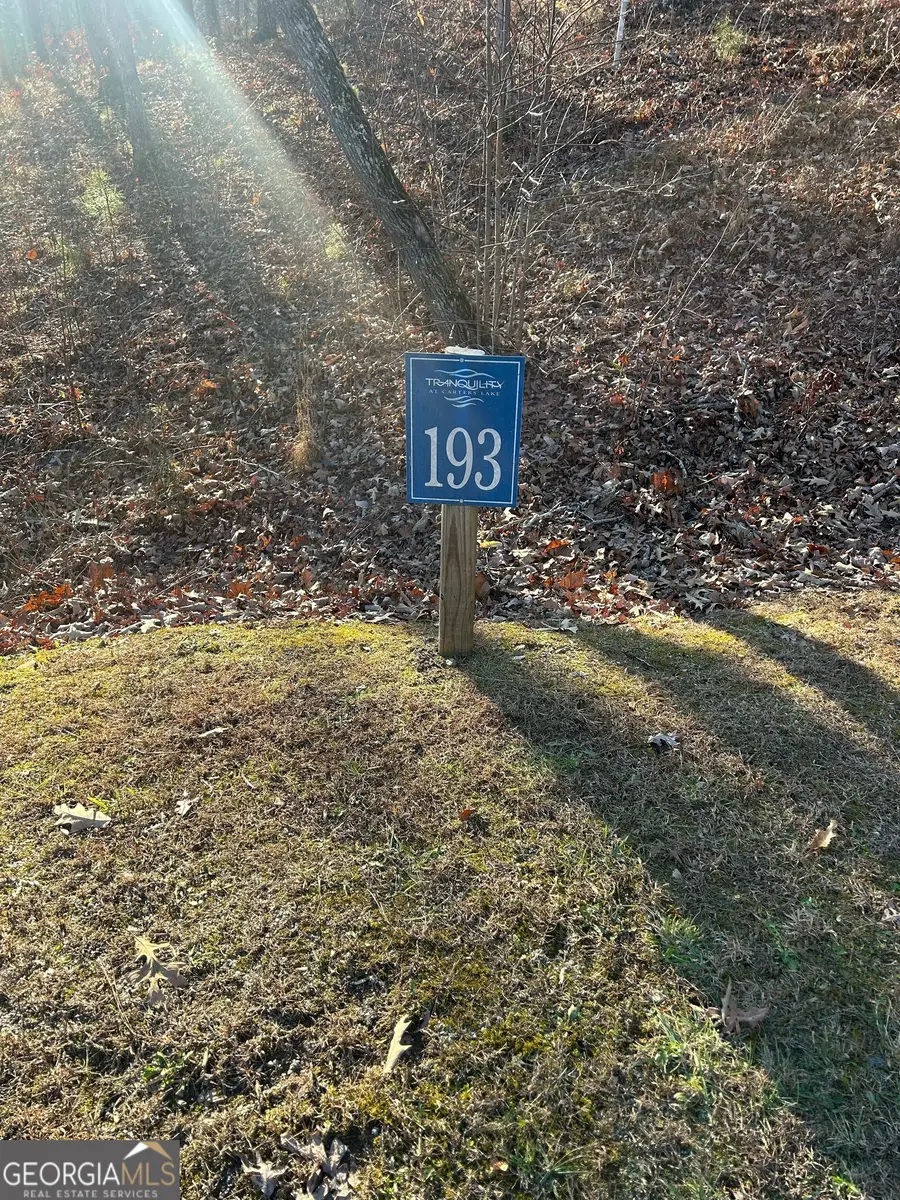 193 & 194 Harris Ridge Lane, Ellijay, GA 30540 - #3