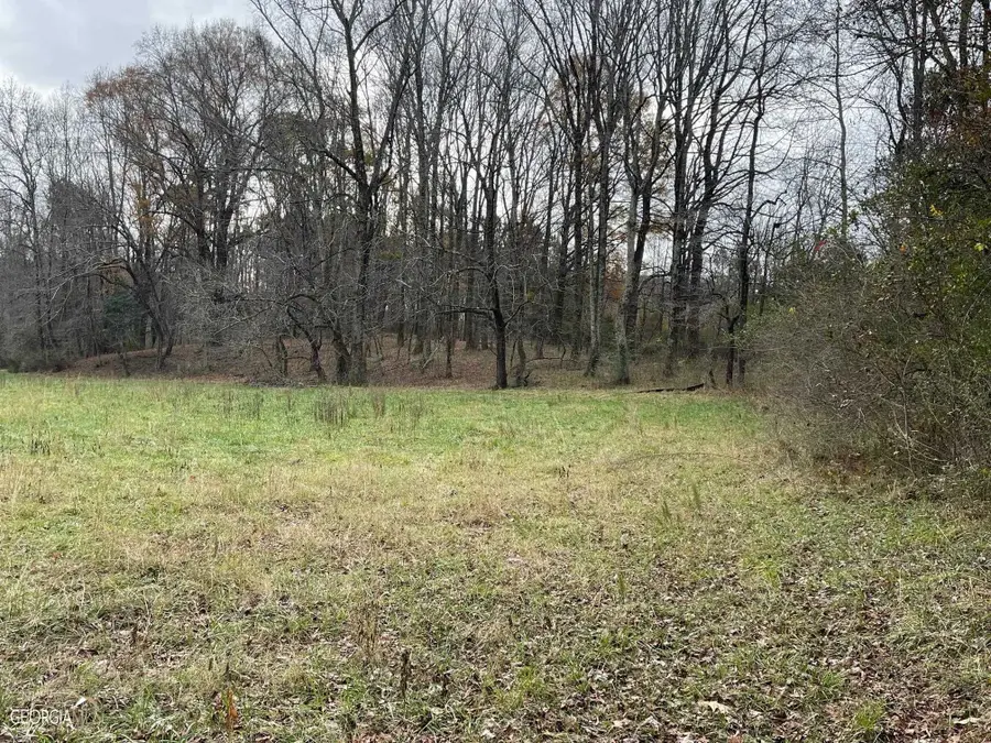 960 Walnut Road, Hoschton, GA 30548 - #3