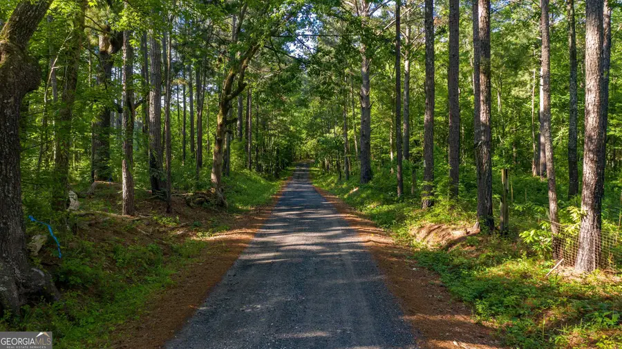 0 Padgett Road #LOT 8, Senoia, GA 30276 - Image #3