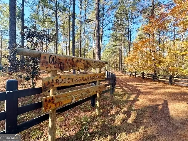 5559 Mill Creek Church Road, Mitchell, GA 30820 - Image #2