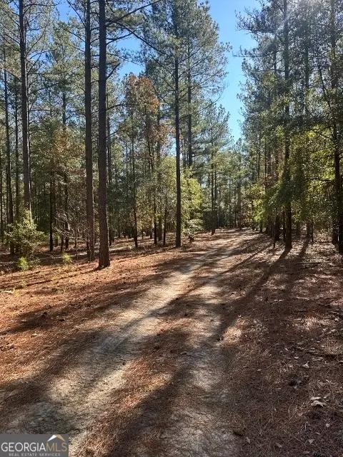 5559 Mill Creek Church Road, Mitchell, GA 30820 - Image #3