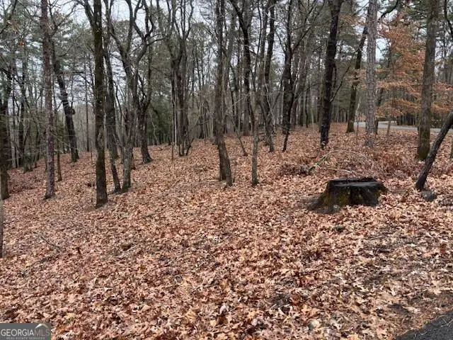 1023 Sparrows Nest, Big Canoe, GA 30143 - #2