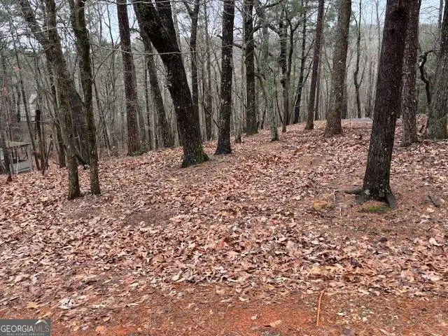 1023 Sparrows Nest, Big Canoe, GA 30143 - #3