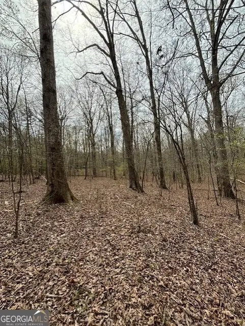 0 SW East Fairview Road, Stockbridge, GA 30281 - #2