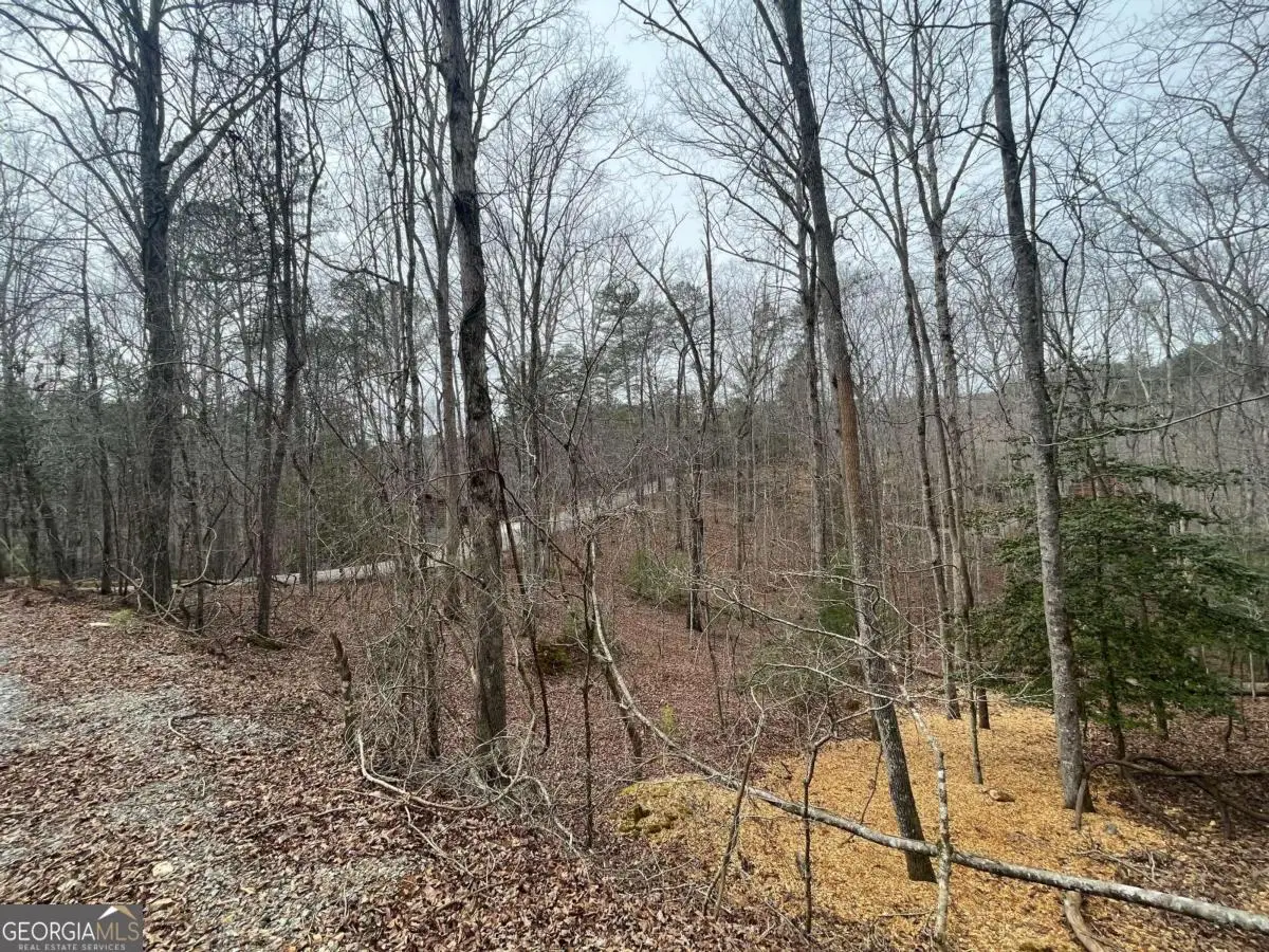 LOT 618 Charity Court, Ellijay, GA 30540 - Image #1