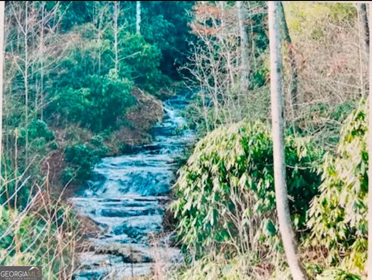 0 Ledford Road, Dillard, GA 30537 - Image #2