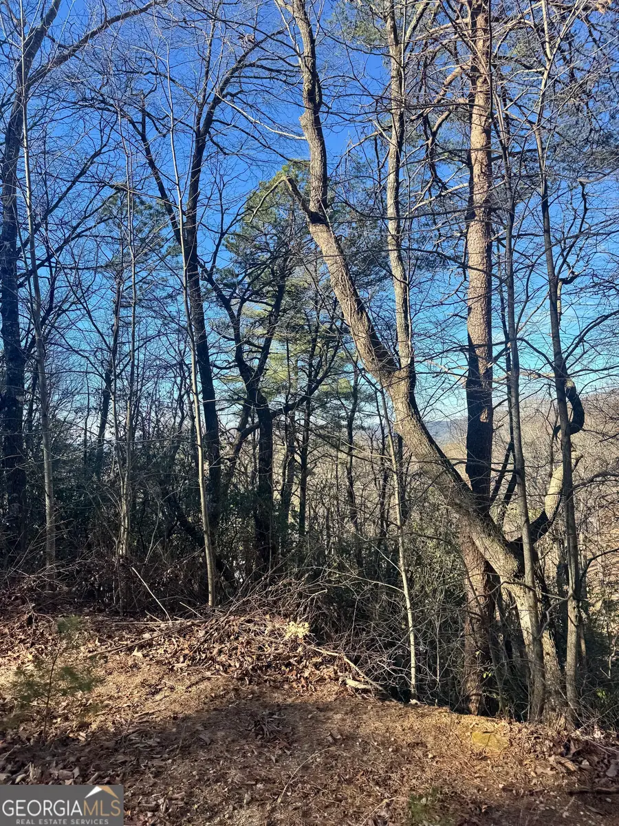 0 Juniper Trail, Clayton, GA 30525 - Image #2