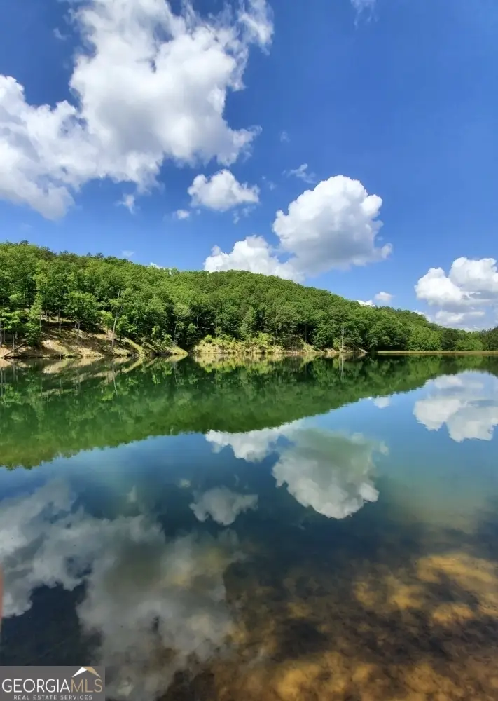 716 Railey Ridge, Ranger, GA 30734 - Image #3