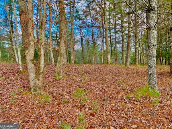 0 Hawks View, Morganton, GA 30560