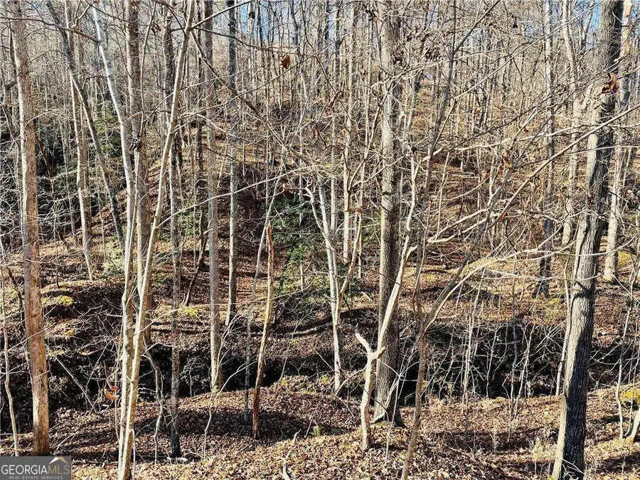 49 Old Stamp Mill Road, Dahlonega, GA 30533 - Image #3