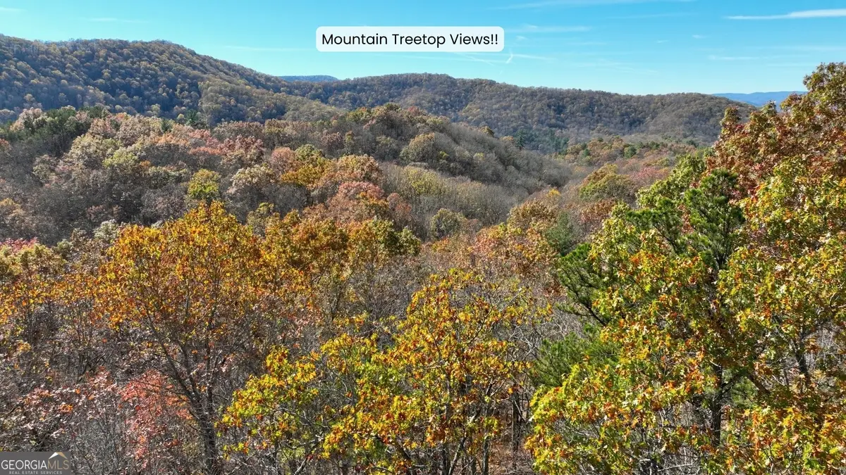 LOT 56 Heards Ridge Road, Morganton, GA 30560 - Image #1