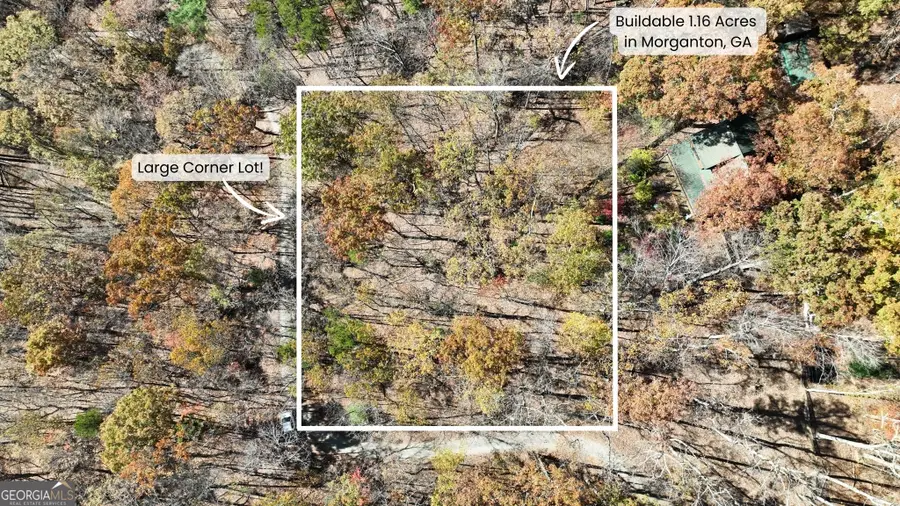 LOT 56 Heards Ridge Road, Morganton, GA 30560 - Image #2