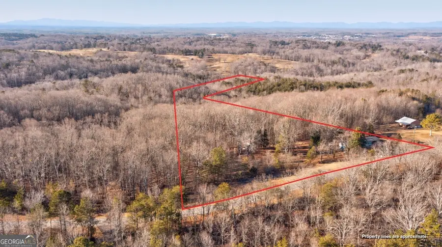 7175 Anderson Lake Road, Dawsonville, GA 30534 - #2