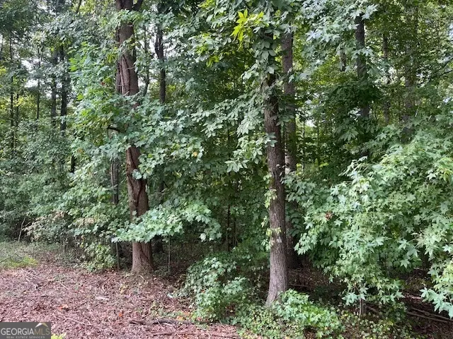 LOT 2171 N Sundew, Westminster, SC 29693 - Image #2