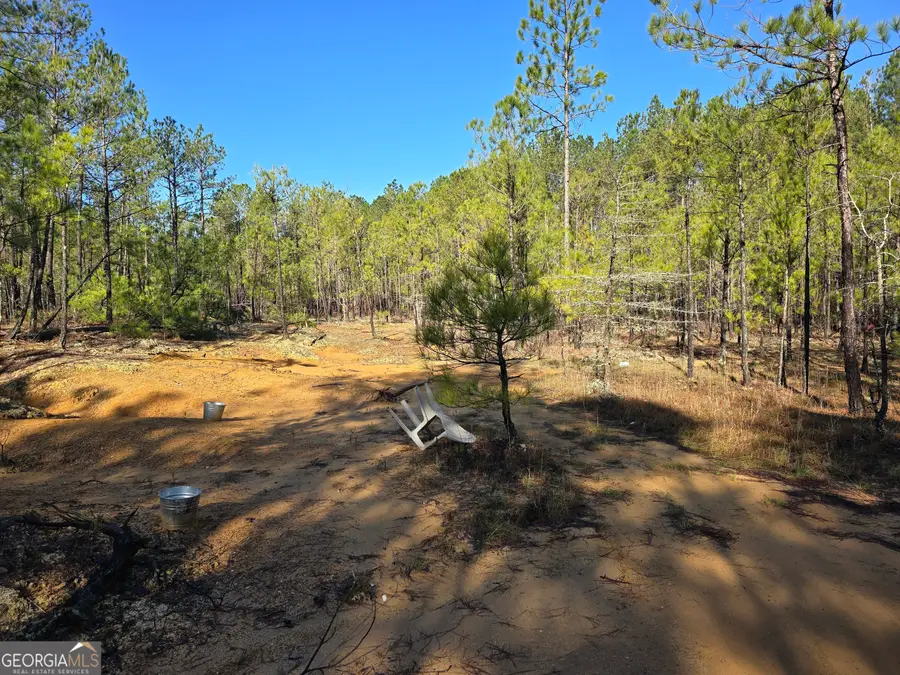 0 Jackson Gin Road, Harrison, GA 31035 - Image #2