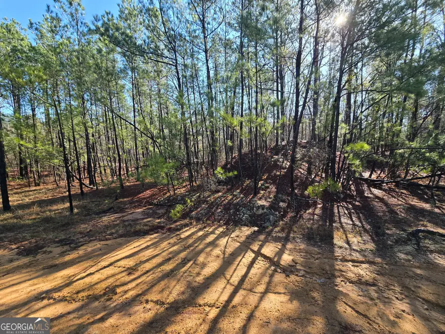 0 Jackson Gin Road, Harrison, GA 31035 - Image #3