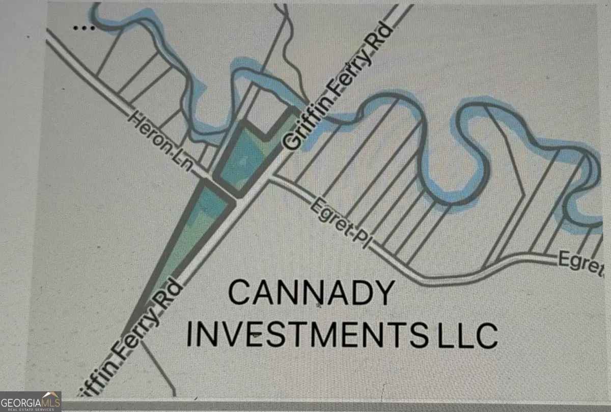 0 Griffin Ferry Road, Lyons, GA 30436 - Image #1