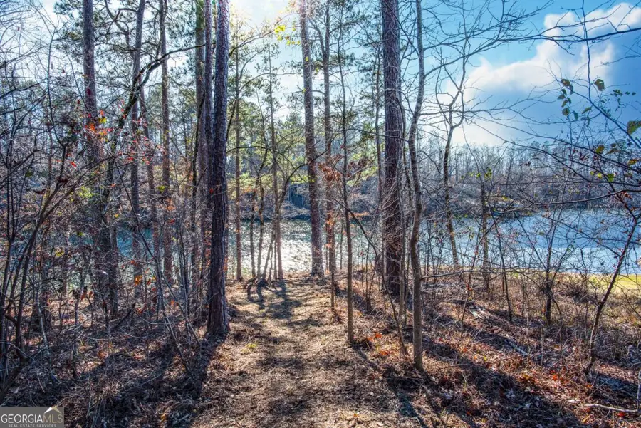 0 Hickory Pass, Sparta, GA 31087 - Image #2