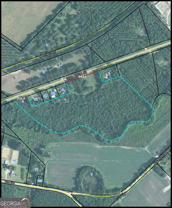 100 E 2nd Avenue, Glenwood, GA 30428 - Image #3