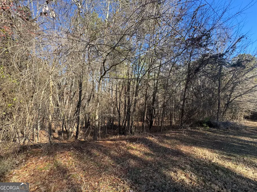 549 Antrim Glen Drive, Hoschton, GA 30548 - Image #2