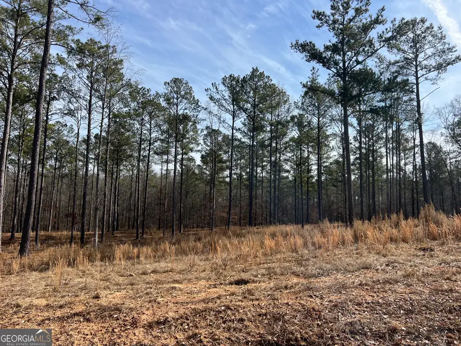 04 Bears Bend, Moreland, GA 30259 - Image #2