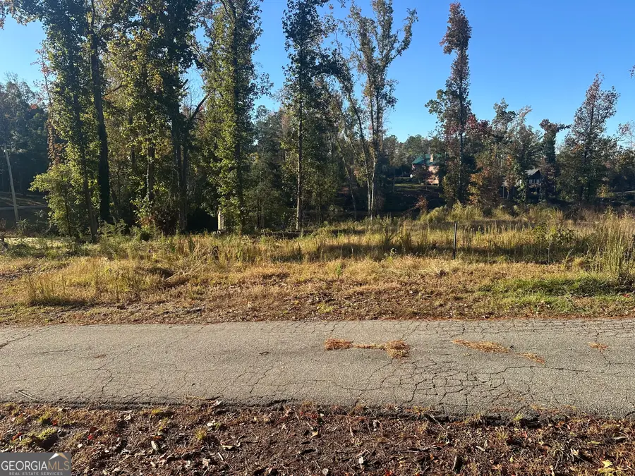 12 Cherokee Resort Road, Pine Mountain, GA 31822 - Image #3