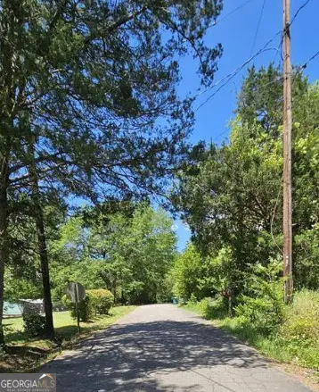 0 Maple Circle, Greensboro, GA 30642 - Image #2